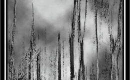 11 METEORITE SU TUNGUSKA_