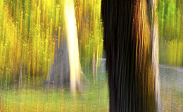 RACCONIGI AUTUNNO 268