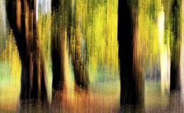 RACCONIGI AUTUNNO
