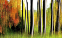 7 AUTUNNO A RACCONIGI
