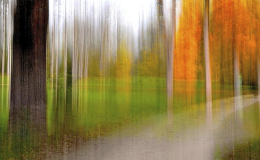 A PASSEGGIO NEL PARCO