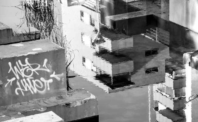 8 DSC_0294