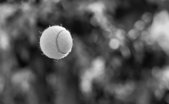 _mg_9031-copia1