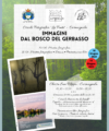 Mostra fotografica: Immagini dal Bosco del Gerbasso